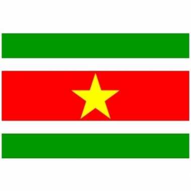 Kleine vlag suriname 60 90