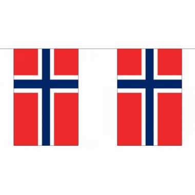 Noorwegen vlaggenlijn 9 m