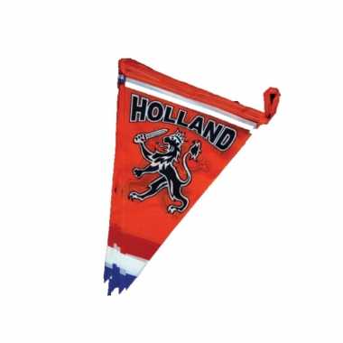 Oranje holland plastic thema vlaggetjes 6 meter