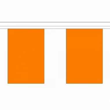 Oranje vlaggenlijn 9 m