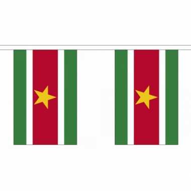 Suriname vlaggenlijnen