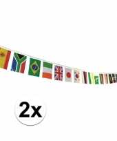 2x multi nationale vlaggenlijn