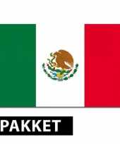 Mexicaanse versiering pakket