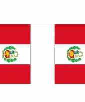 Peru vlaggenlijn 9 m