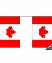 Polyster slinger canada 3 m