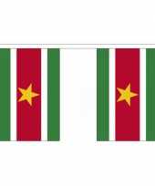 Suriname vlaggenlijnen