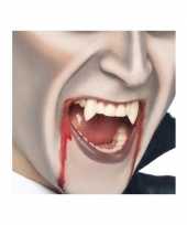 Vampier gebit 2 tanden 10116799