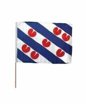Zwaaivlaggen friesland groot 10 stuks