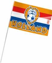 Zwaaivlaggen holland