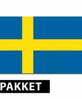 Zweden versiering pakket